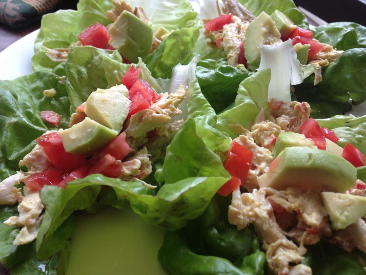 Wrap au poulet &ndash; Dr. Kellyann
