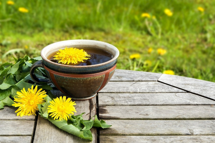 Dandelions in a cup of tea