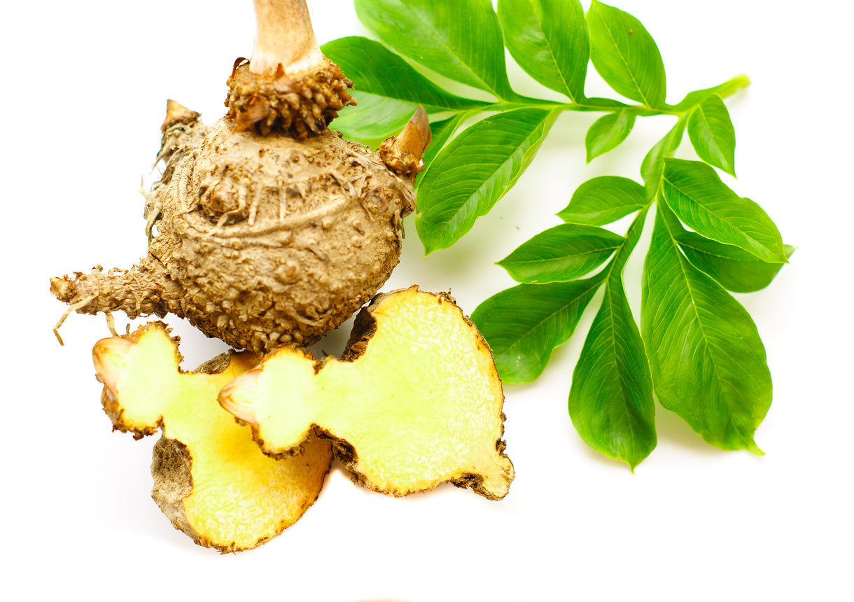 3 Amazing Benefits of Konjac Root