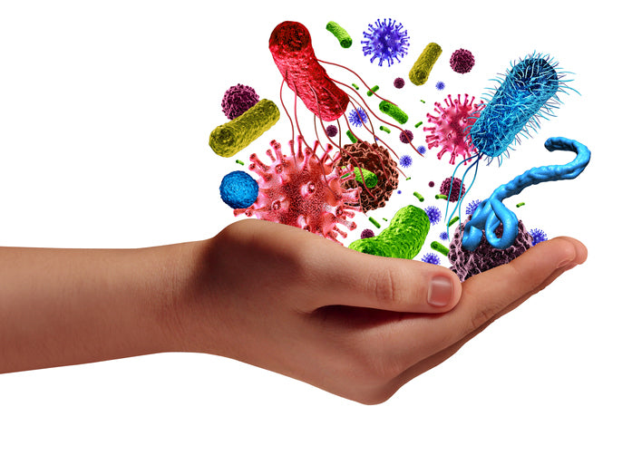 A hand parts of the gut for simple ways to boost your immune system