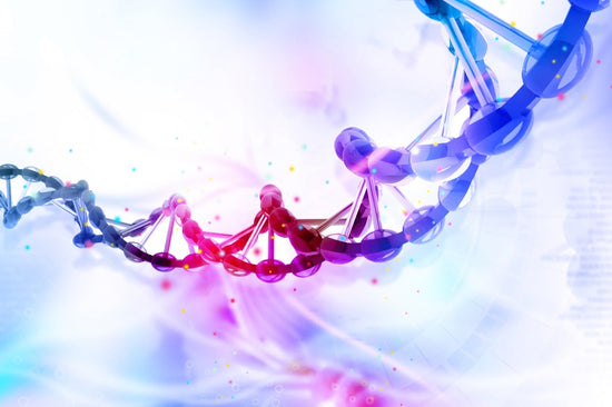 Colorful sources of amino acids