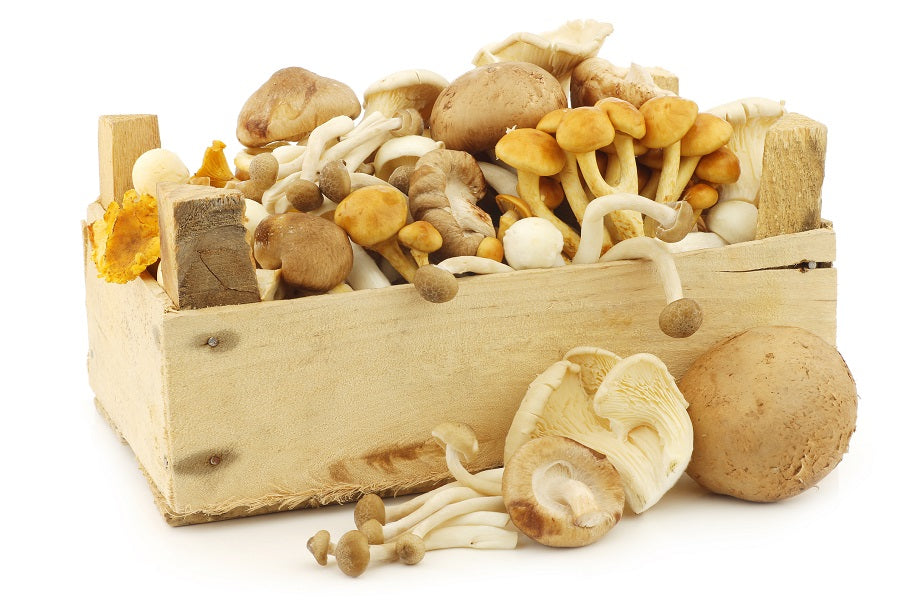 A box of mushrooms