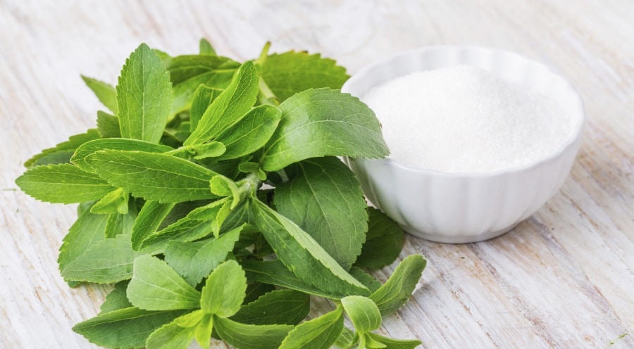 Stevia plant with a bowl of stevia