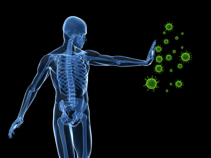 skeleton pushing away germs for anti-mucus building and immunity boosting