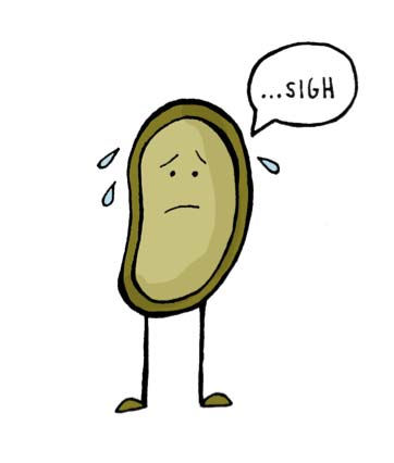 Are You Eating Dietary Toxins?