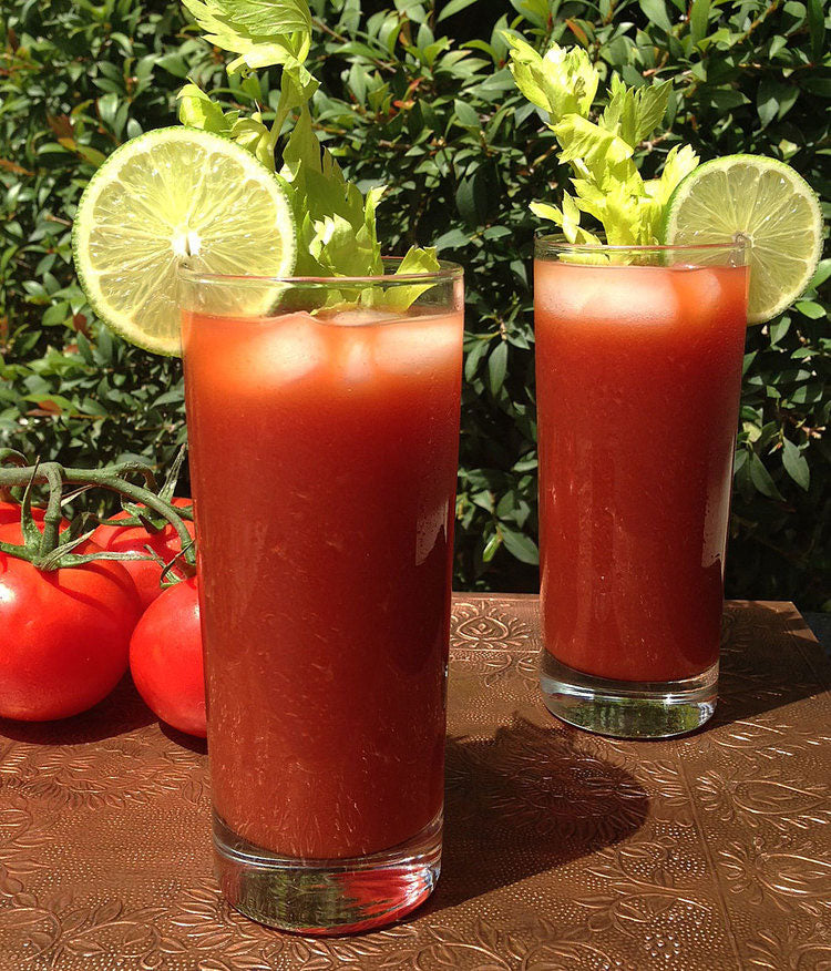 Bloody Bull Bone Broth Cocktail Healthy Recipe Dr. Kellyann