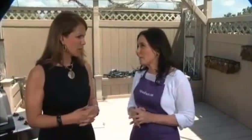 Fox Detroit on the Grill Part I