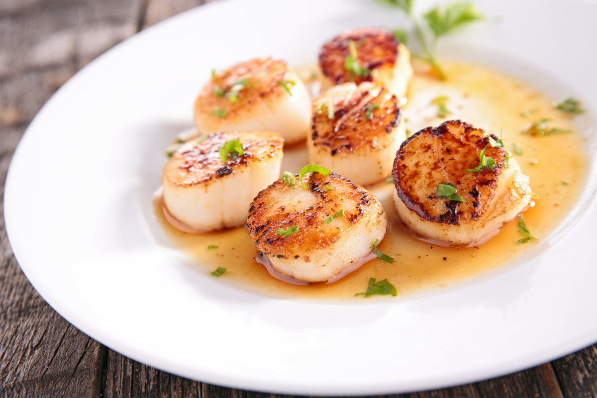 Seared Scallops Dr. Kellyann