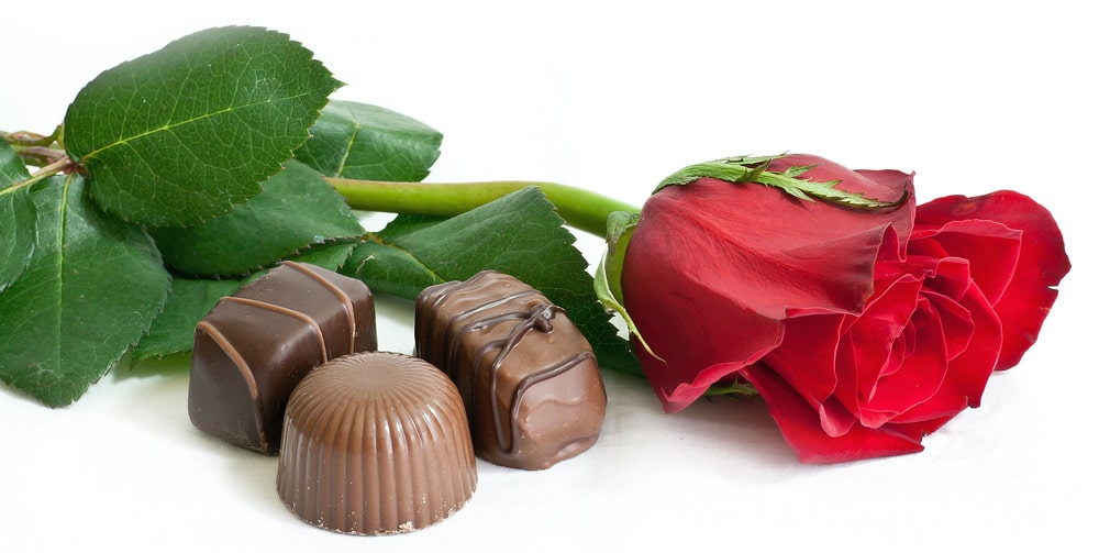 Mon Conseil Saint Valentin: Mangez Votre Chocolat!