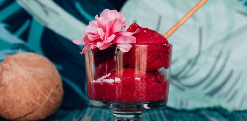 Raspberry Sorbet and Smoothie