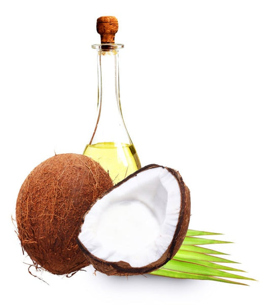 Paleo Foods: Your Body Will Love These Fats!