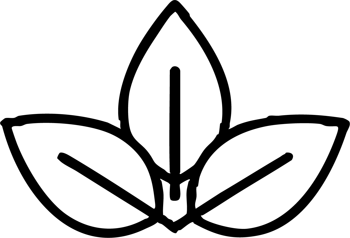 gid://shopify/MediaImage/25992560345201