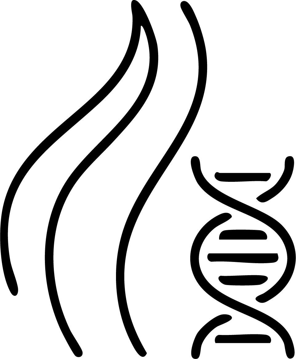 gid://shopify/MediaImage/25992561786993