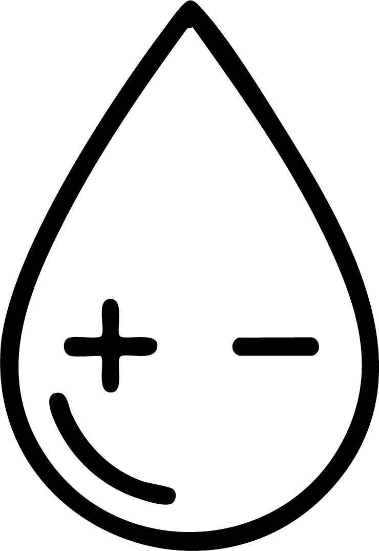 gid://shopify/MediaImage/25992559362161