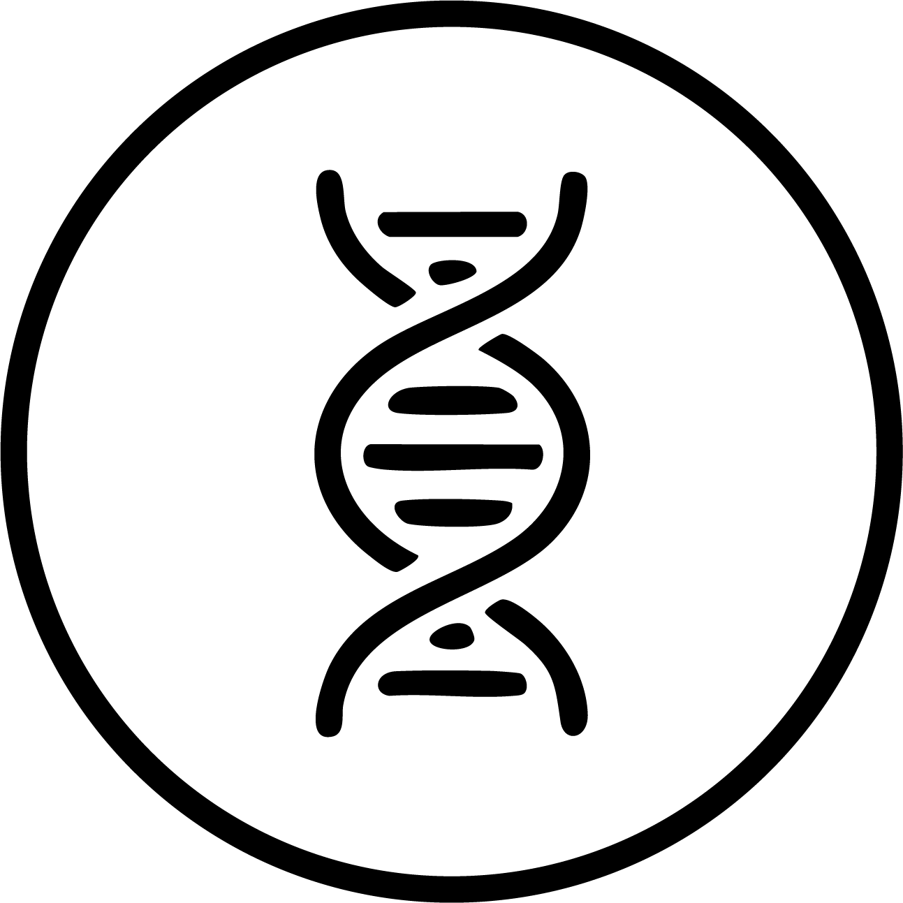 gid://shopify/MediaImage/25992560214129