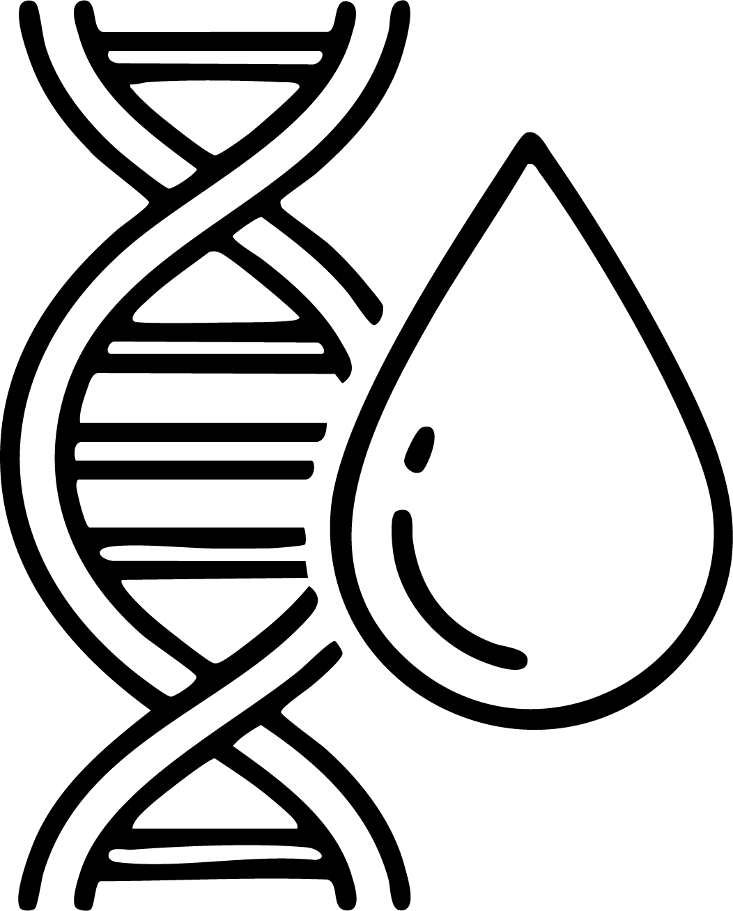 gid://shopify/MediaImage/25992560083057