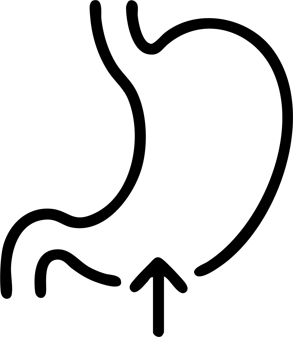 gid://shopify/MediaImage/25992560607345