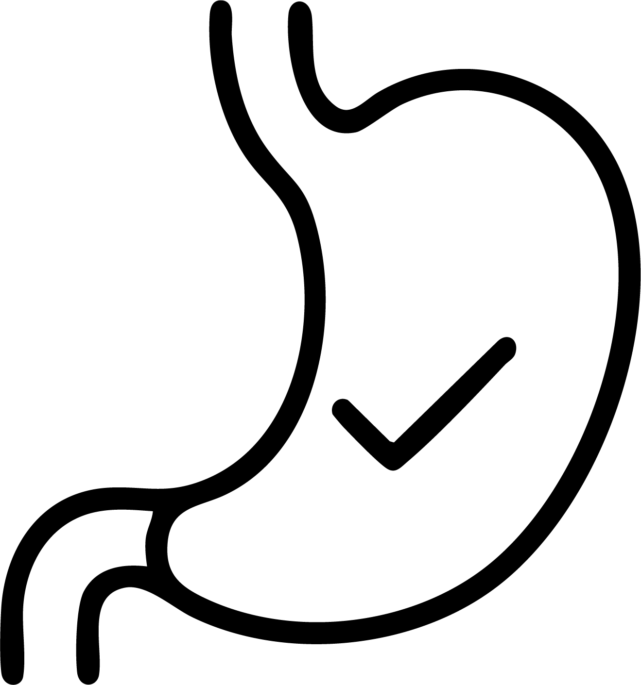 gid://shopify/MediaImage/25992560476273