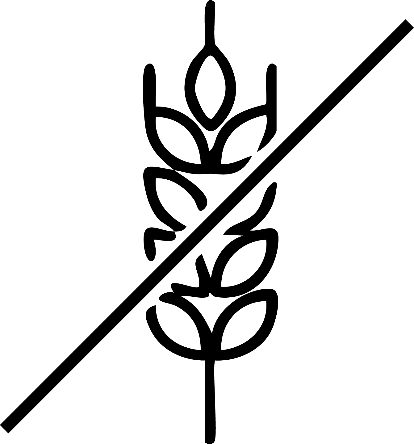 gid://shopify/MediaImage/25992560443505