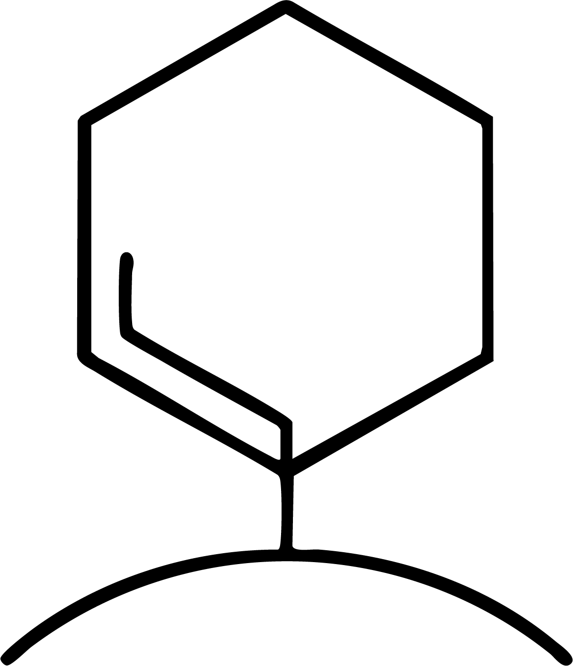 gid://shopify/MediaImage/25992559165553