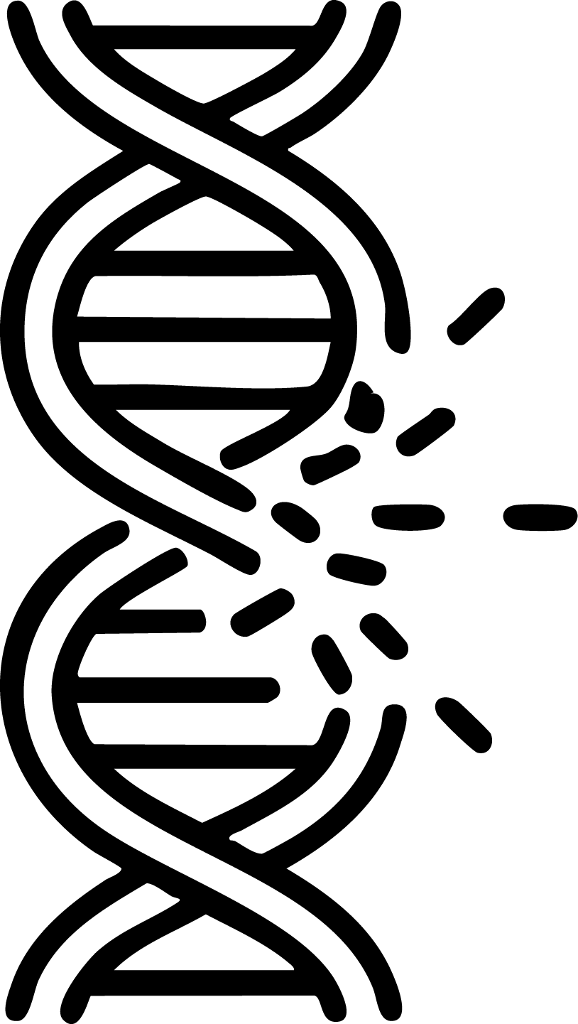 gid://shopify/MediaImage/25992560574577