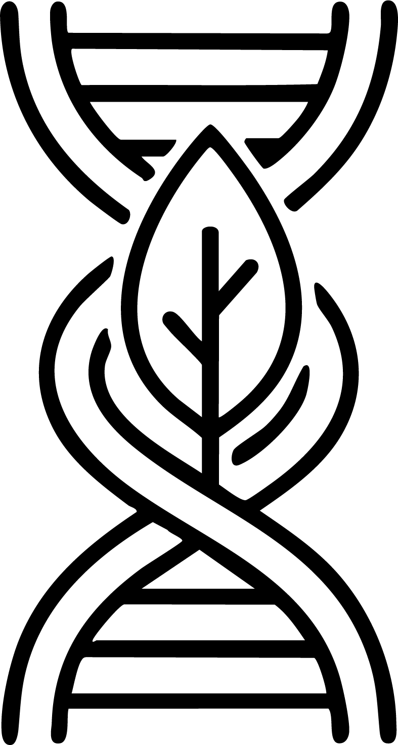 gid://shopify/MediaImage/25992561033329