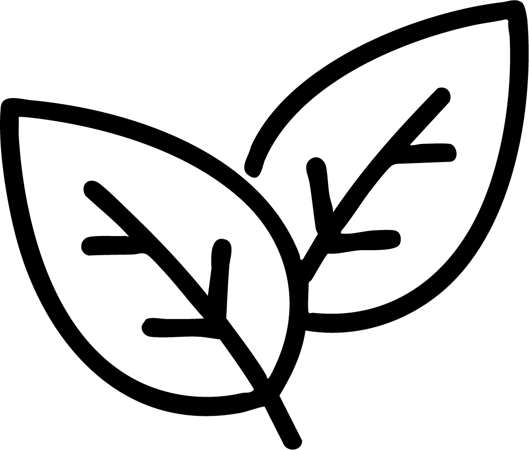 gid://shopify/MediaImage/25992560869489