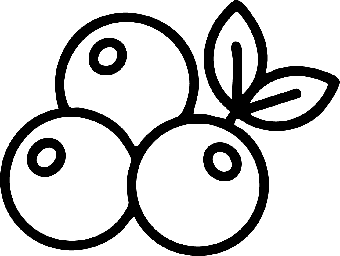 gid://shopify/MediaImage/25992561688689