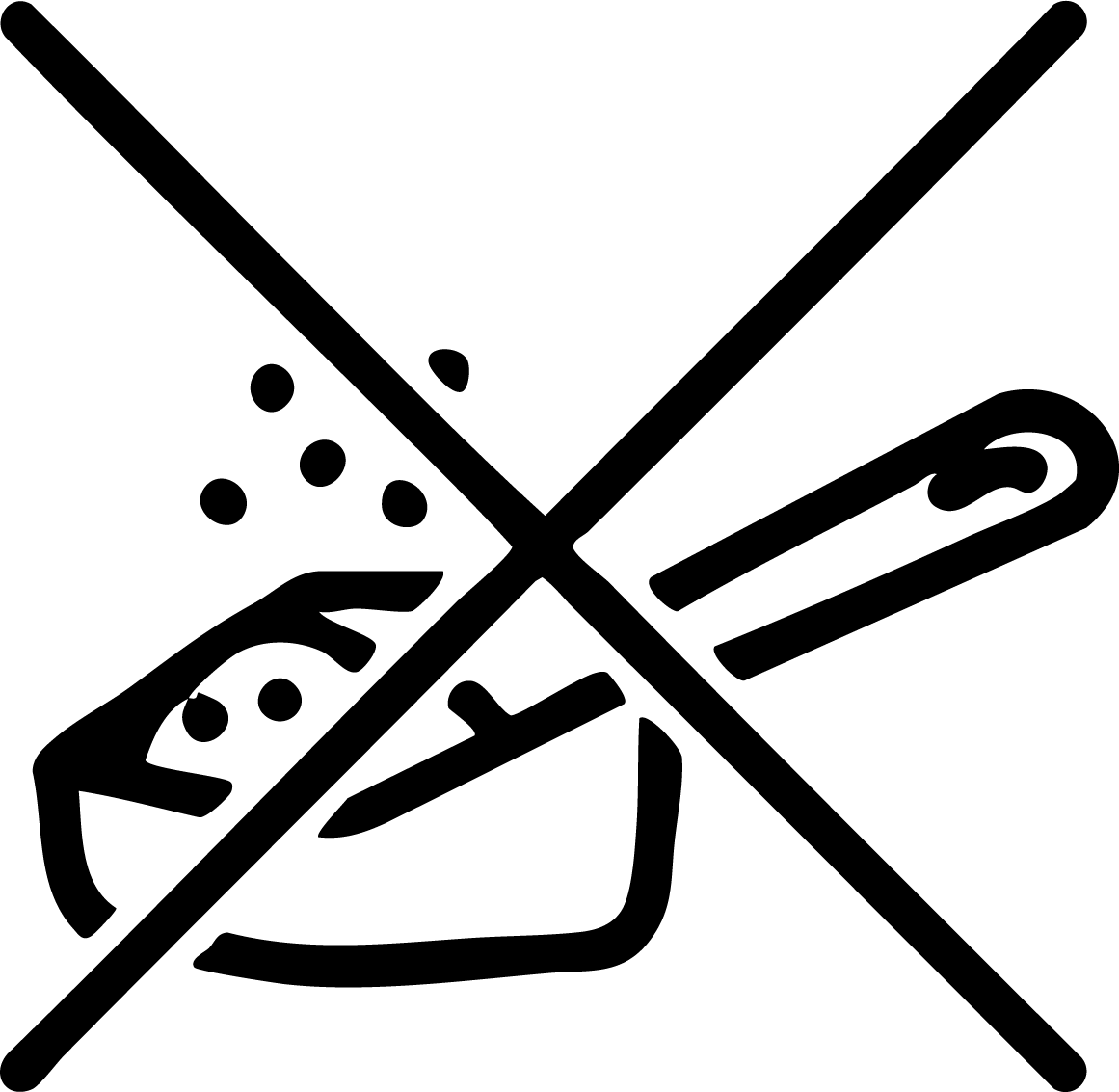 gid://shopify/MediaImage/25992561852529